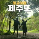 동 계 정 | 제주도 / #1 8개월차 임산부와 떠난 힐링 제주 코스 ✈️ 숙소·맛집 후기