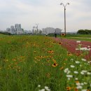 금강변길 이미지