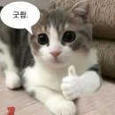 논산드림약국 | 대충 8+9월 일상