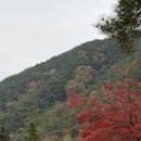 수안보상록호텔사우나 이미지