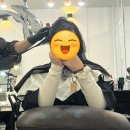 Been 헤어 | 가을 머리 관리, 브린헤어 볼륨매직 후기