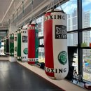 헐크복싱 이미지