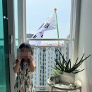 안양시청 별관 2층 강당 | 광복절 아이와 가볼만 한 곳｜의미·대체공휴일·택배·태극기·행사까지 총정리!