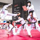 동아대 태권도 이미지