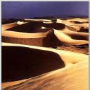 북아프리카의 사하라사막 이미지