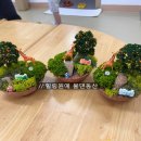 양포초등 병설 이미지