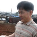 수영농장 이미지