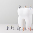 라임덴탈 이미지