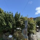 (주)성연 | 오서산 등산기 – 보령과 홍성 사이 억새 명소, 100대 명산 성연주차장 1코스 후기