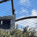 청소년센터 정문 앞 | 서천 국립생태원 에코리움 방학 중 아이와 방문 후기