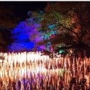 악양시장 이미지