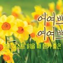 엘로히스트 읽을 때 듣기 좋은 새노래 #5 이미지