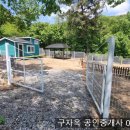 양도면-6 티스토리