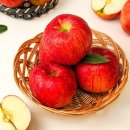 자연처럼 이미지