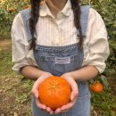 선사농원 이미지