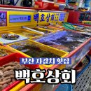 백호상회 | 부산 자갈치시장 가성비 횟집 추천 남포동 횟집 백호상회 솔직후기