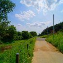 요룡농장 이미지