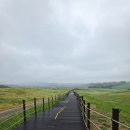 새한개량한우목장 | 가볼만한곳 당일치기 코스: 서산한우목장 웰빙산책로 &amp; 한우목장카페 방문 후기 (운영시간, 애견동반 팁)
