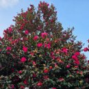 맡기고가개 이미지