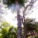 아우내공동체 이미지