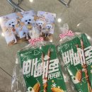 지니펫 애견미용실 | 김포 검단신도시 풍무동 애견미용실 펫아지트 솔직후기❤️