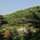 남산 홍주사 이미지