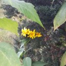 덕두원길 이미지