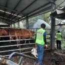 군포시보건소 이미지