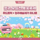 청주예술의전당 대전시실 | 2026년 청주 무심천 벚꽃축제, 푸드트럭도 즐기고 청주예술제도 즐기고! 꿀잼축제가 4월 3일~7일🌸