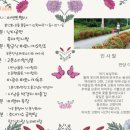 봉선화의원 이미지