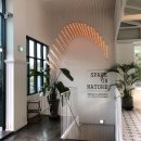 세인즈 - 강남구 | 세인즈