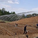 행복한 농원 이미지