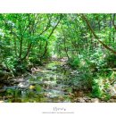 남해-145 이미지