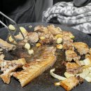 들살이오토캠핑장 이미지