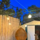 홍시스테이 이미지