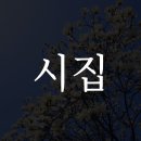 시집 - 114138 | 시집