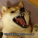 밥도둑 이미지