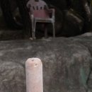 천보체육회 이미지