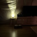 쏘쿨이네캠핑장 | 애견동반글램핑 포천 반려동물동반 글램핌장 불멍 강아지운동장 ‘쏘쿨이네글램핑’ 내돈내산 후기