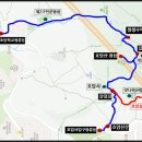 쌍생수 이미지