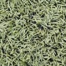 가평종합운동장 가평행복구장 이미지