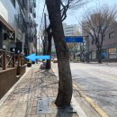 아르밤 펫 이미지