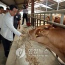 대월목장 이미지