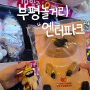 스타게임장 | 부평 데이트 코스 추천 실내 액티비티 게임장 엔터파크 부평점