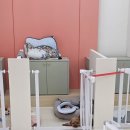 쌀롱 드 빼로 이미지