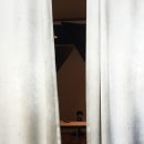 포샵디포토