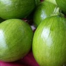 진산농장1 이미지