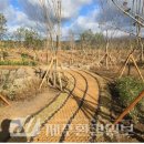 강정동-62 이미지