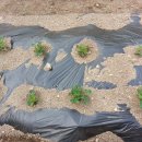 만물상회 이미지