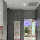 11305-15-600-1 | 용산피부과 덴서티 알파팁 600샷 리프팅 후기 효과 풀어요